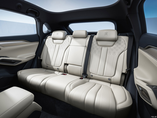 좋은 가치 ABS 가솔린 BYD 송 L EV SUV 귀하의 비즈니스 필요에 대한