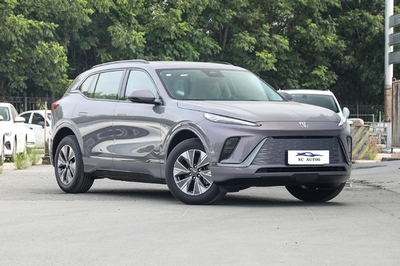 뷰이크 E5 실버 장거리 620km SUV 고속 사용 전기 자동차