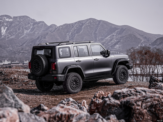 앞 후면 디스크 브레이크 유로 6 대 벽 탱크 300 연료 SUV 대 가치 SUV